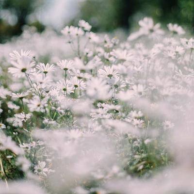 亿博体育app的下载方式