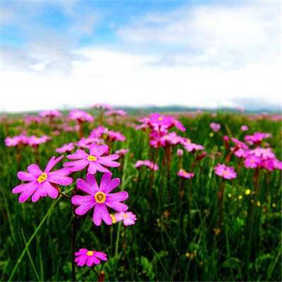 万博ManBetX3.0截图